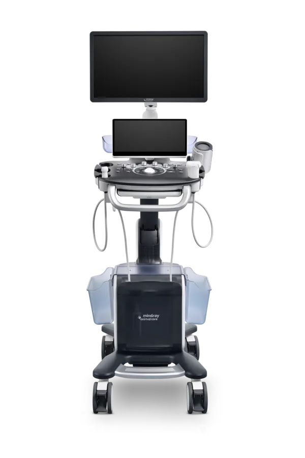 Vetus 50